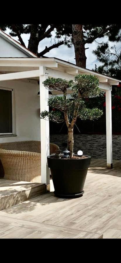 Lovely House Near The Beach كالافيل المظهر الخارجي الصورة
